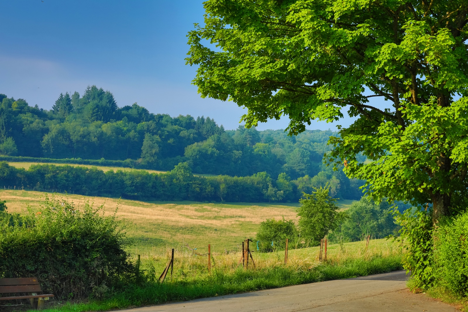 Khaledfrikha photographe paysage nancy lorraine site web kf 2018  (5)096042